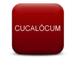 Concurs anual de cartells Cucalòcum